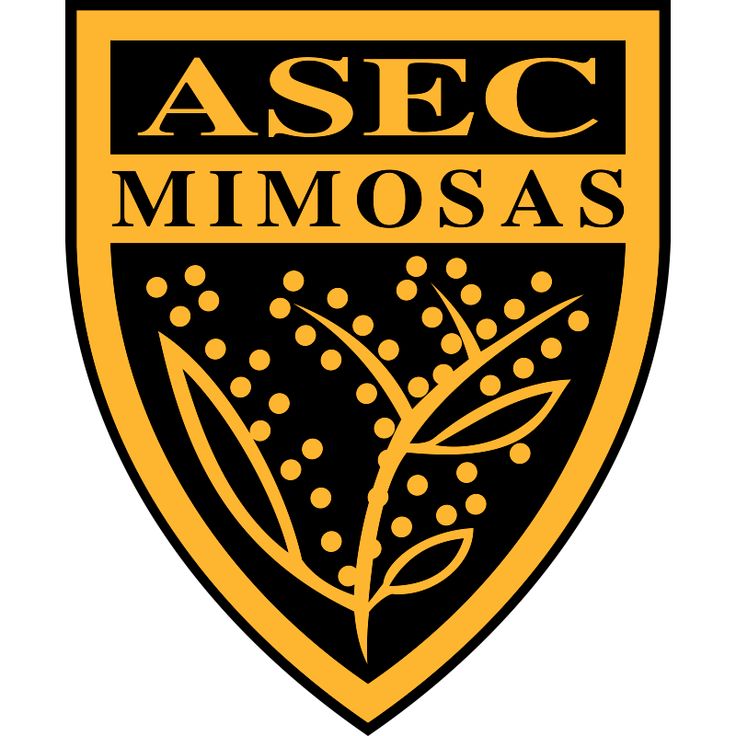 ASEC Mimosas : battu dans les arrêts de jeu, zéro club ivoirien en phase de groupes